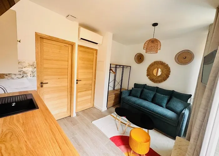 Les Appartements De Nana 6 - Studio Hypercentre, Rue Meynadier, Palais & Plage, Clim, Wifi
